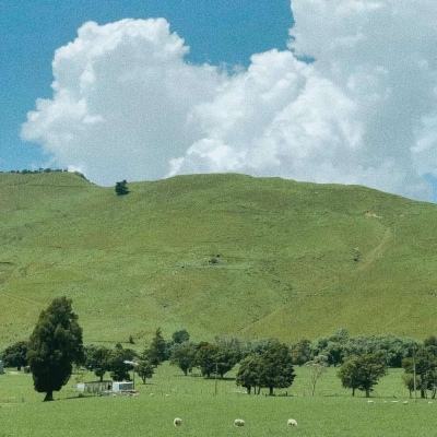 Kaiyun体育官方在线登录