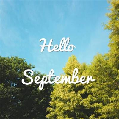 竞彩足球appapp下载